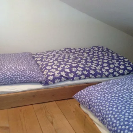 Apartament Zell Am Zell am See