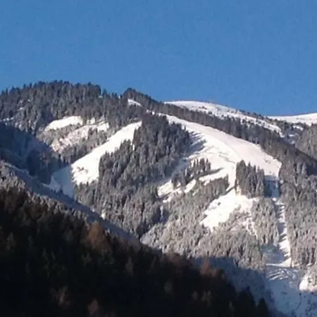 Zell Am 아파트 젤암제